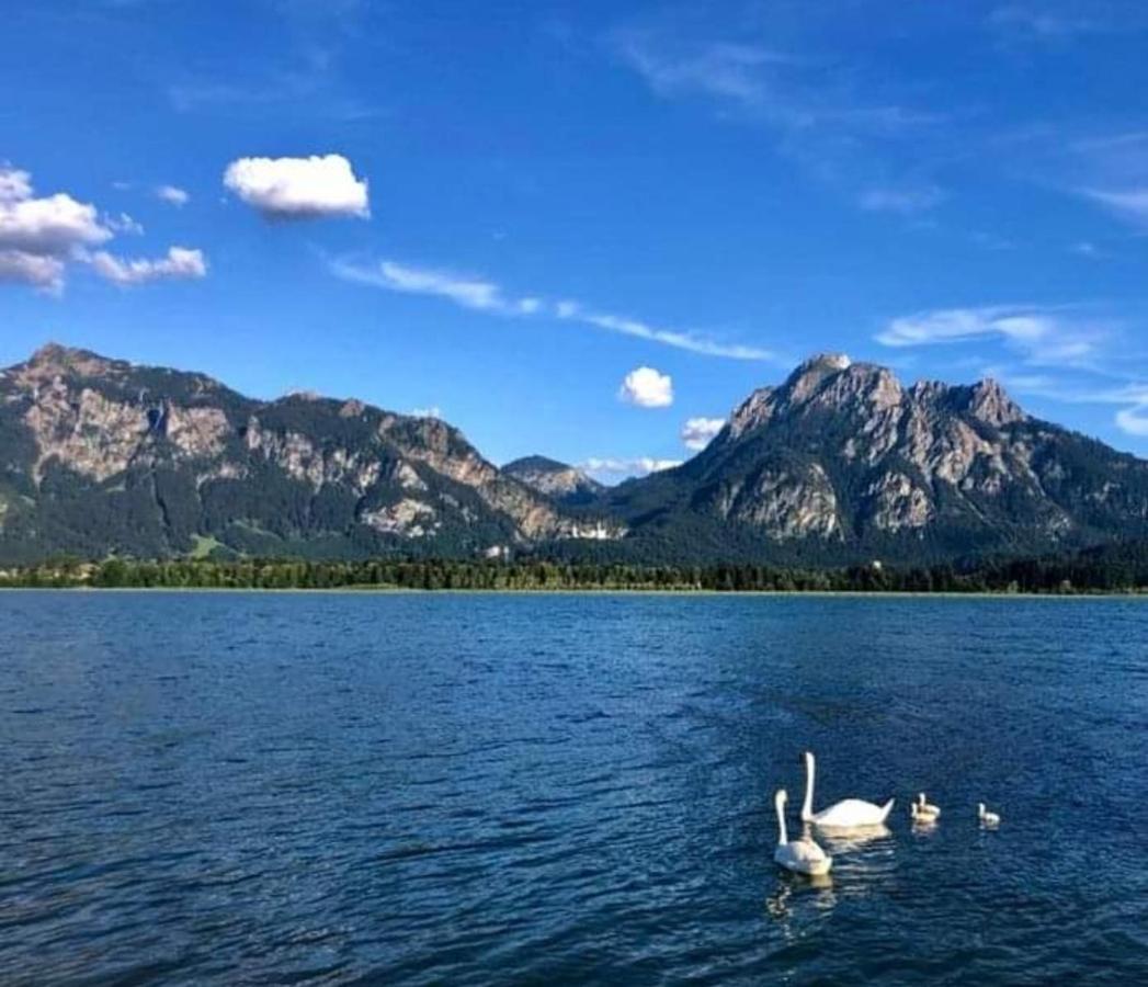 Alpenzeit